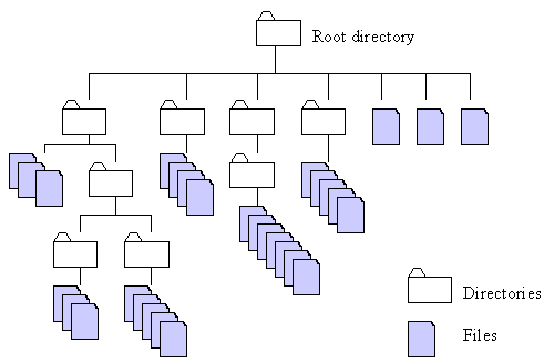 file structure